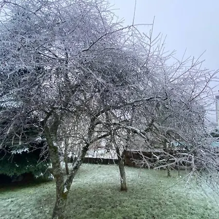 Tatil Evi Le Charmot, Au Pied Des Montagnes Classe 3* *