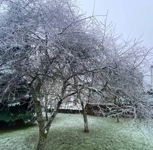 Semesterbostad Le Charmot, Au Pied Des Montagnes Classe 3* *